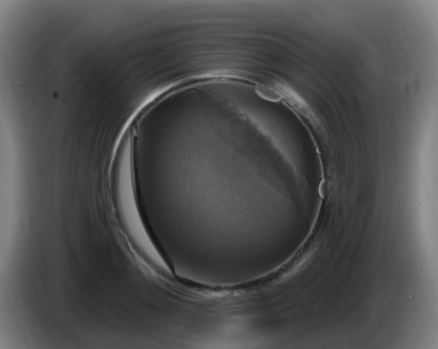 X0000086730892200704201644