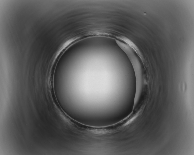 X0000086730893200704201644