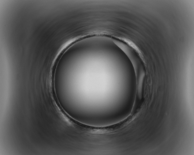 X0000086730894200704201644