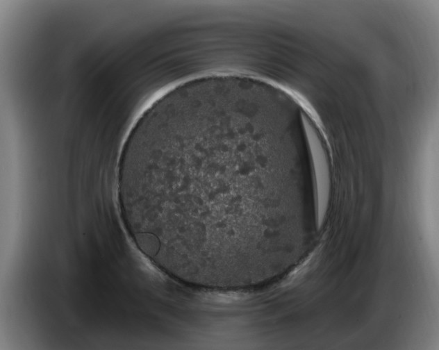 X0000086730895200704201644