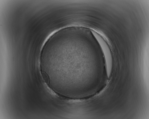 X0000086730896200704201644