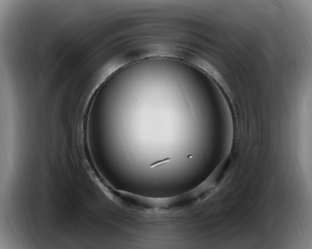 X0000086730898200704201644