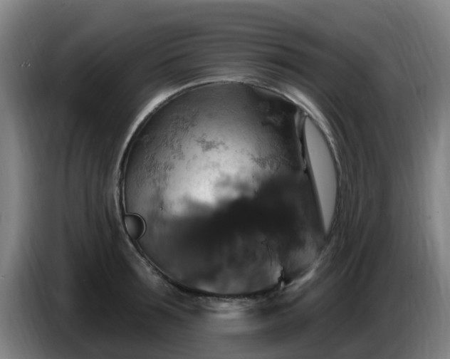 X0000086730899200704201644