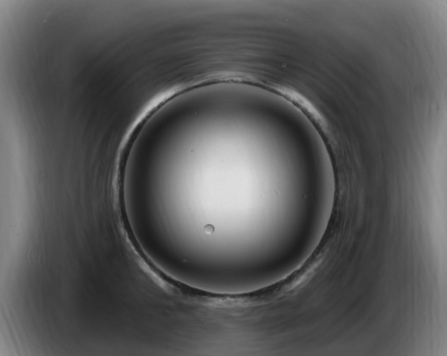 X0000086730902200704201644