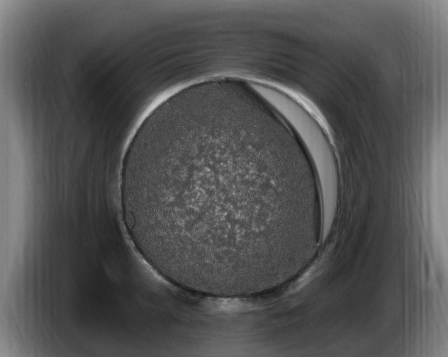 X0000086730903200704201644