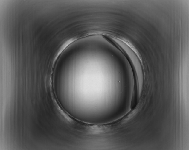 X0000086730906200704201643