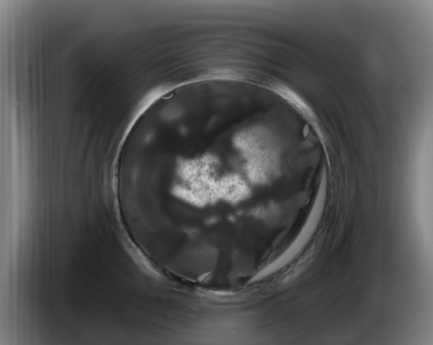 X0000086730907200704201643