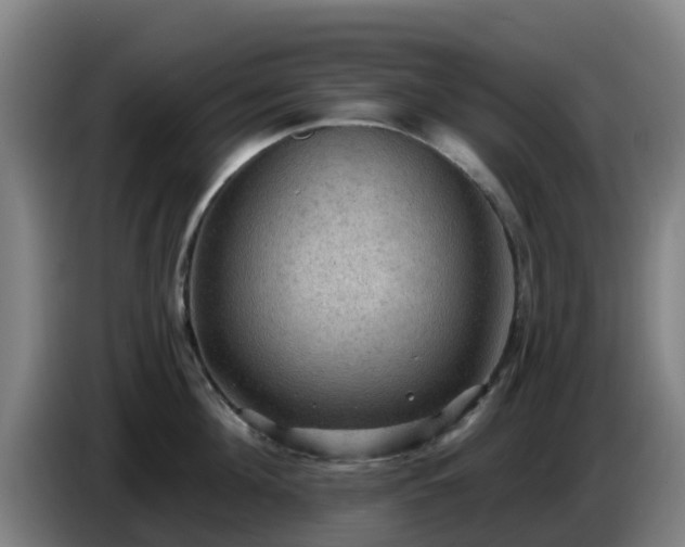 X0000086730908200704201643