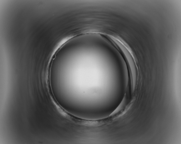 X0000086730909200704201643