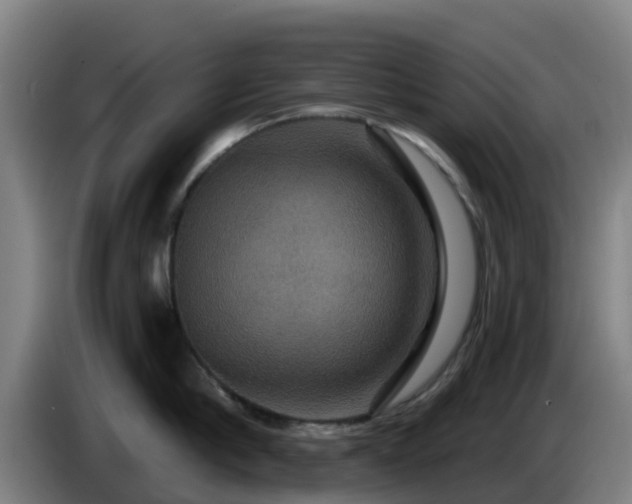 X0000086730910200704201643