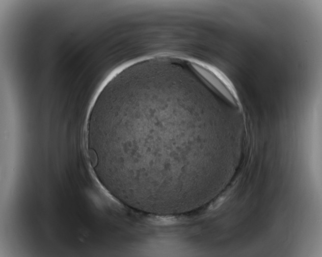 X0000086730911200704201643