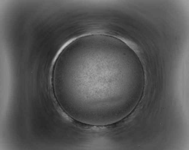 X0000086730912200704201643