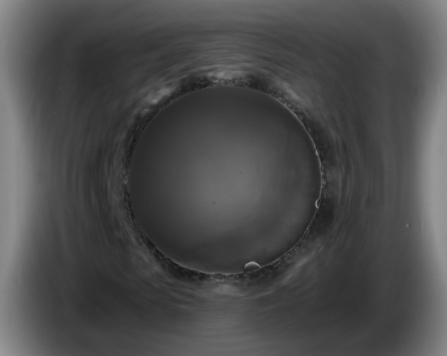 X0000086730913200704201643