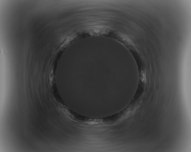 X0000086730915200704201643