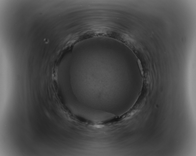 X0000086730916200704201643