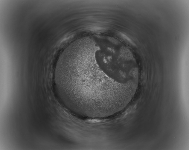 X0000086730917200704201643