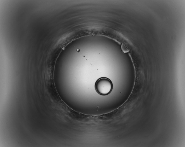 X0000086730918200704201643