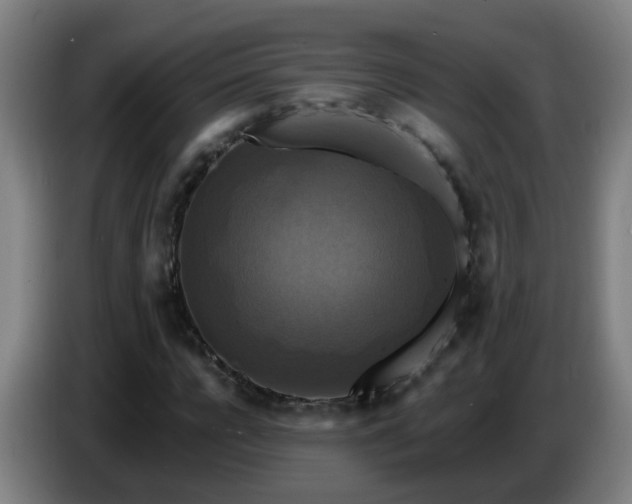 X0000086730920200704201643