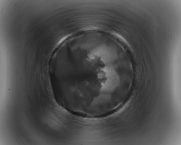 X0000086730921200704201643