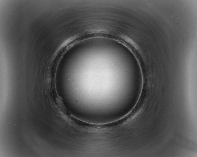 X0000086730922200704201643