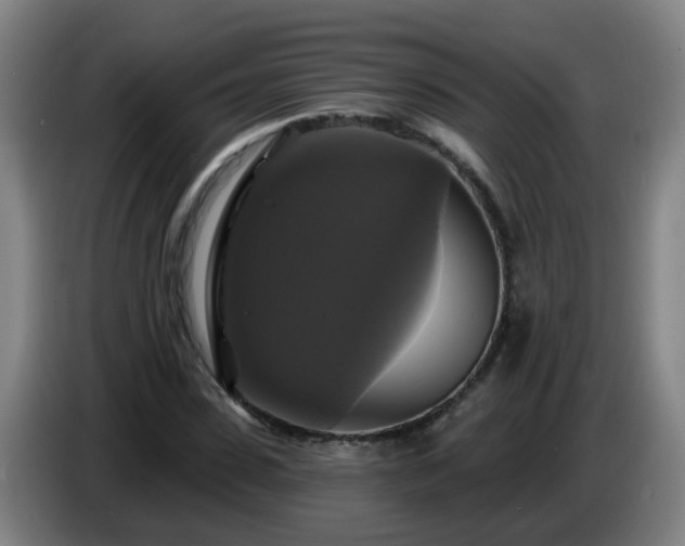 X0000086730923200704201643