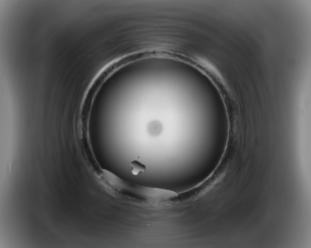 X0000086730924200704201643