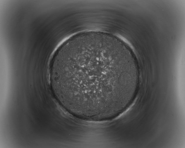 X0000086730925200704201643