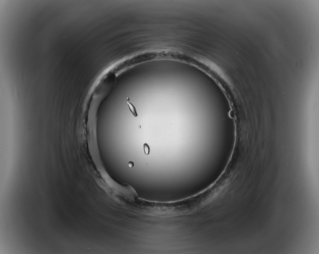 X0000086730927200704201643