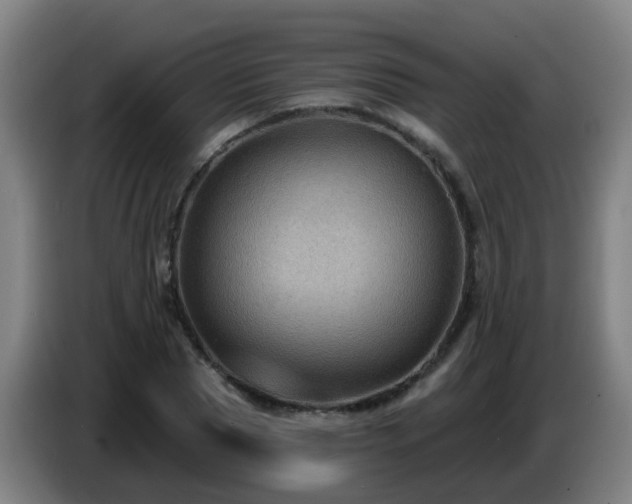 X0000086730929200704201643