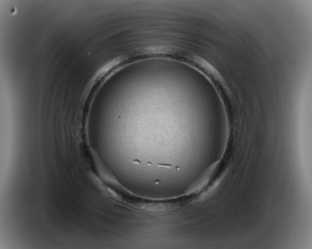 X0000086730930200704201643