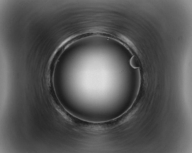 X0000086730931200704201643