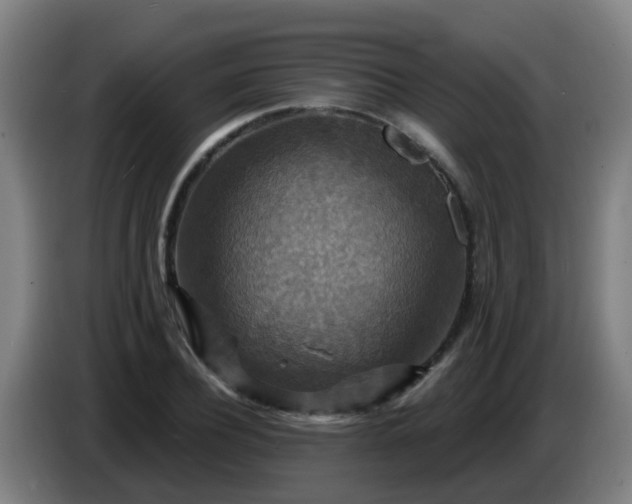 X0000086730932200704201643