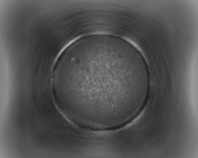 X0000086730933200704201643