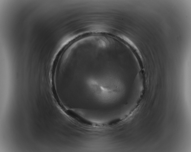 X0000086730935200704201643