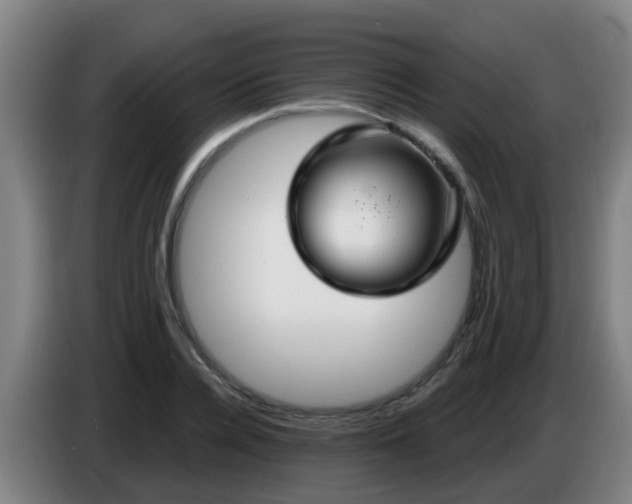 X0000086730936200704201643