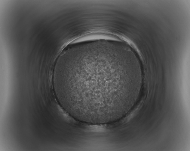 X0000086730937200704201643