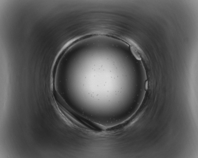 X0000086730940200704201643