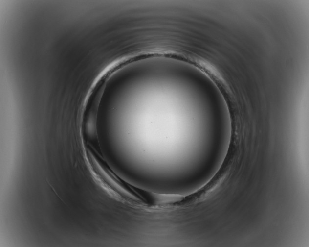 X0000086730942200704201643