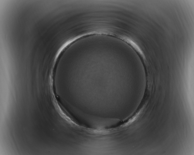 X0000086730944200704201643