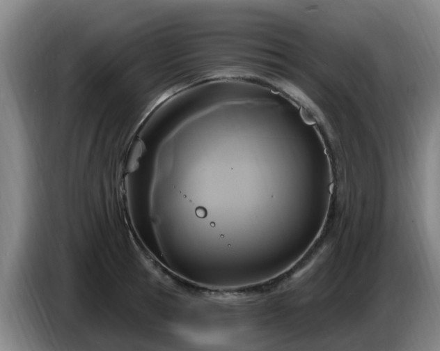 X0000086730945200704201643