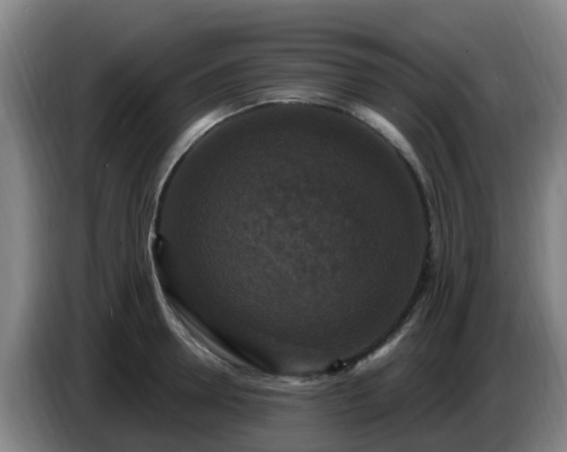 X0000086730946200704201643