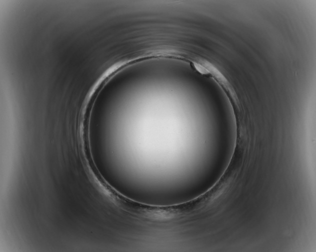 X0000086730947200704201643