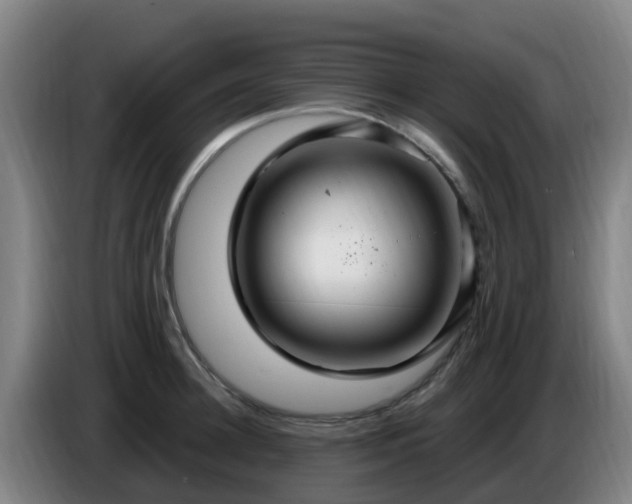 X0000086730948200704201643