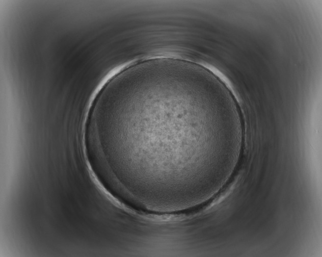 X0000086730949200704201643