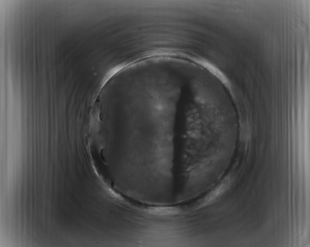 X0000086730953200704201643