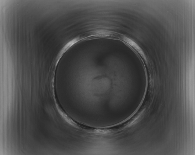 X0000086730954200704201643