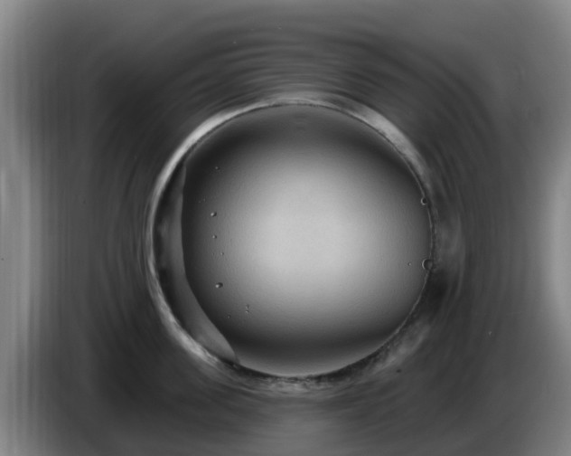 X0000086730955200704201643