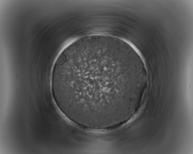 X0000086730957200704201643