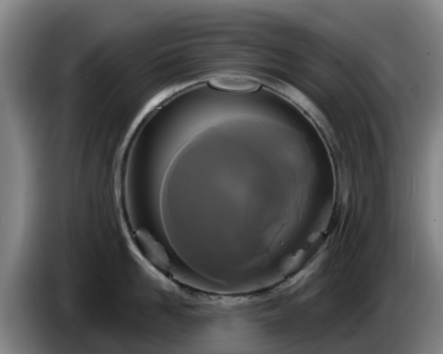 X0000086730958200704201643