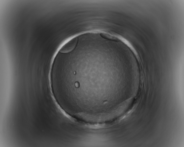 X0000086730959200704201643